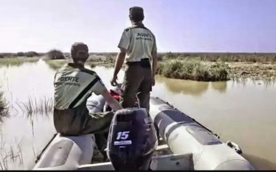 Inicio 10 NUEVO GRUPO AGENTES DE MEDIO AMBIENTE JUNTA DE ANDALUCÍA PARA LA ESTABILIZACIÓN DE EMPLEO TEMPORAL. Comienzo 10 de Enero.  71 plazas convocadas.