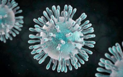 UN SISTEMA DE FORMACIÓN INMUNE AL CORONAVIRUS