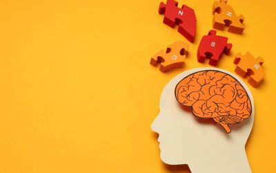 Curva del olvido: qué repasos hacer para retener la información