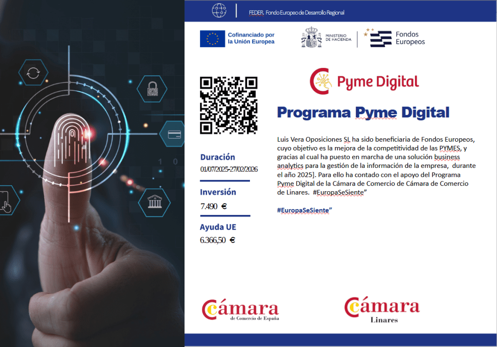 programa pyme digital luis vera